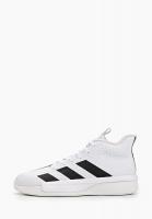 Кроссовки adidas Pro Next 2019 цвет белый