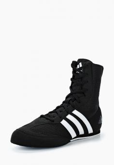 Боксерки adidas Combat Box Hog 2 цвет черный